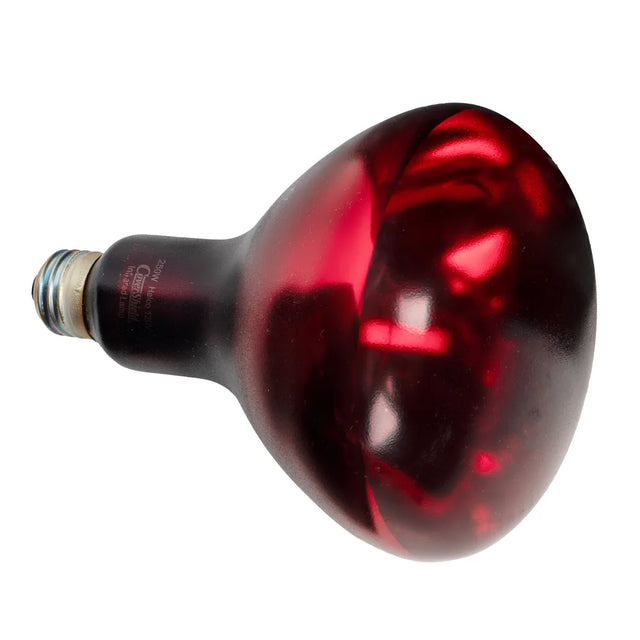 Lamp Bulb, Red, 250 Watt - EHL-BR