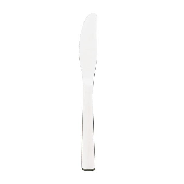 WIN2 Serrated Dinner Knife, 1 Dozen - 503811S